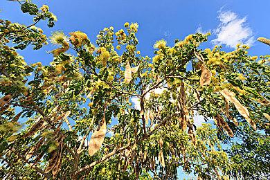 《DOTA2》ESL One吉隆坡站首批直邀队伍公布