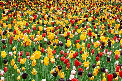 喜剧FPS《高能人生2》公布 42分钟实机试玩