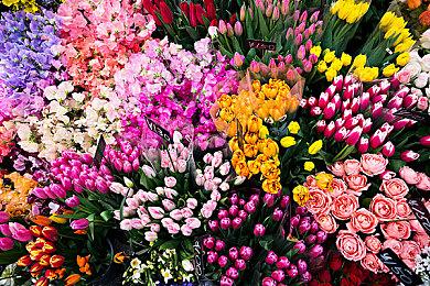 争议性话题 玩家发起不要移植PS游戏到PC联名投票